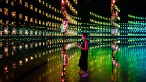 Museum Of The Future’s Immersive Experiences Are Ecological Ones Too